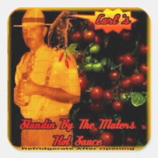 コショウを手に取り付ける スクエアシール