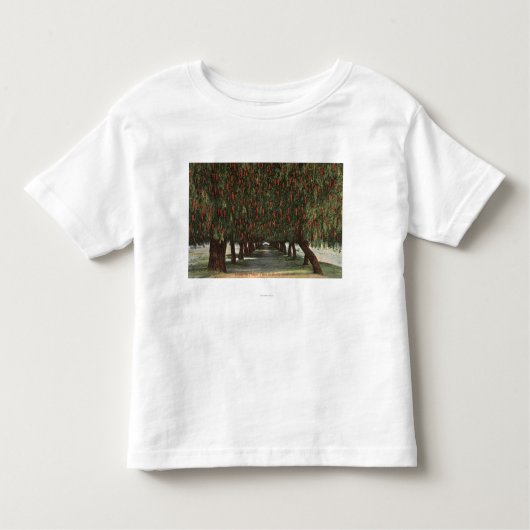 コショウ木のCaliforniaGroves トドラーTシャツ (正面)