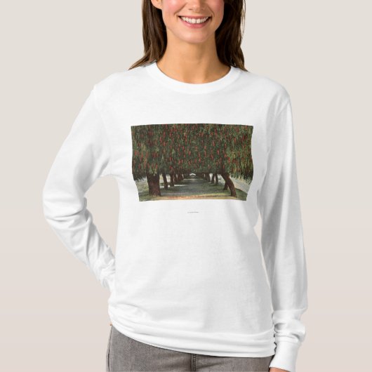 コショウ木のCaliforniaGroves Tシャツ (正面)