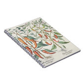 コショウ: 1.Piper Indicumの最高longum; 2.Piper I ノートブック (右側)