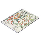 コショウ: 1.Piper Indicumの最高longum; 2.Piper I ノートブック (左側)