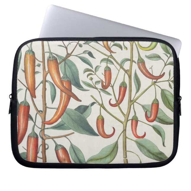 コショウ: 1.Piper Indicumの最高longum; 2.Piper I ラップトップスリーブ (正面)