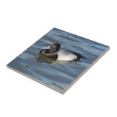 コスズガモアヒル タイル (側面)