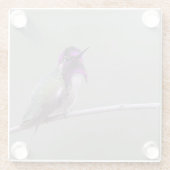 コスタのハチドリ ガラスコースター (裏面)