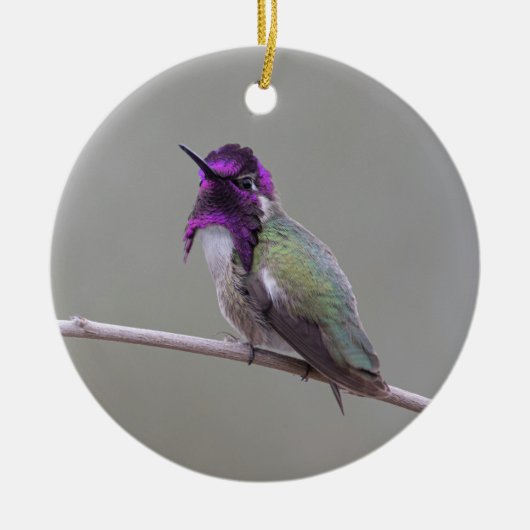 コスタのハチドリ セラミックオーナメント (正面)