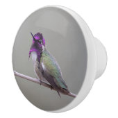 コスタのハチドリ セラミックノブ (右)