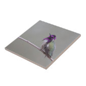 コスタのハチドリ タイル (側面)