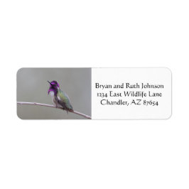 コスタのハチドリ ラベル