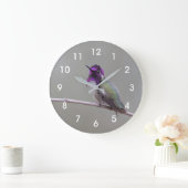 コスタのハチドリ ラージ壁時計 (ホーム)
