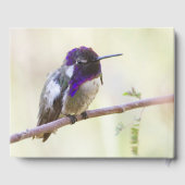 コスタのハミングバードが枝に止まった ゲストブック (裏面)