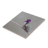 コスタのハミングバード タイル (側面)