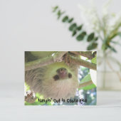 コスタぶら下がったリカの葉書のスロース ポストカード (スタンド正面)