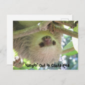 コスタぶら下がったリカの葉書のスロース ポストカード (正面/裏面)
