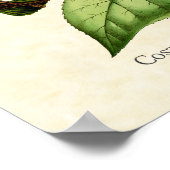 コスタズハミングバードアートプリント ポスター (角)