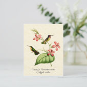 コスタズハミングバードヴィンテージアート ポストカード (スタンド正面)
