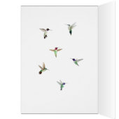 コスタズハミングバード誕生日カード (内側 (左))