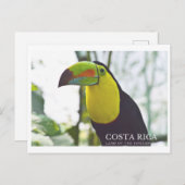 コスタリカおみやげ葉書のトゥカン ポストカード (正面/裏面)