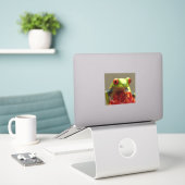 コスタリカで赤い目をしたツリーカエル シール (デスク上のノートパソコン)