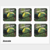 コスタリカとカラフルトゥーカン スクエアシール (シート)