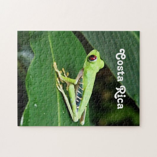 コスタリカのアマガエル ジグソーパズル (横)