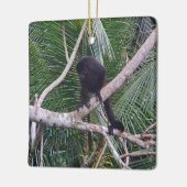 コスタリカのジャングルのホエザルそしてベビー猿 セラミックオーナメント (左)