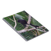 コスタリカのジャングルのホエザルそしてベビー猿 ノートブック (右側)