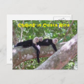 コスタリカのチリング ポストカード (正面/裏面)