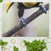 コスタリカのトゥーカン キッチンタオル (折り畳み)