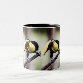 コスタリカのトゥーカン ツートーンマグカップ (中央)