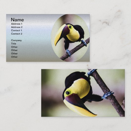 コスタリカのトゥーカン 名刺 (正面/裏面)