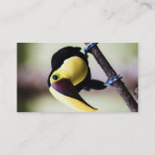 コスタリカのトゥーカン 名刺 (裏面)