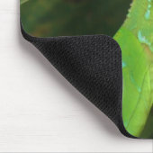 コスタリカのトカゲ マウスパッド (コーナー)