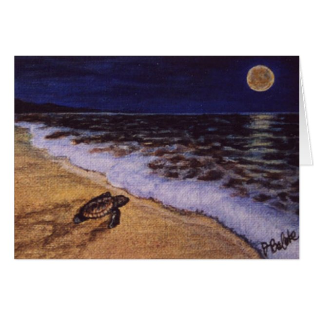 コスタリカのビーチのベビーのカメ (正面横)