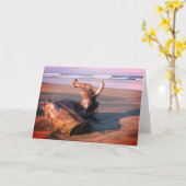 コスタリカのビーチの流木の写真のグリーティングカード カード (黄色い花)