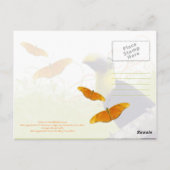 コスタリカのプーラヴィダ トゥカンのポストカード ポストカード (裏面)