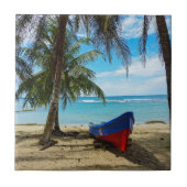 コスタリカのプーラ・ヴィダ - 中央アメリカ タイル (正面)