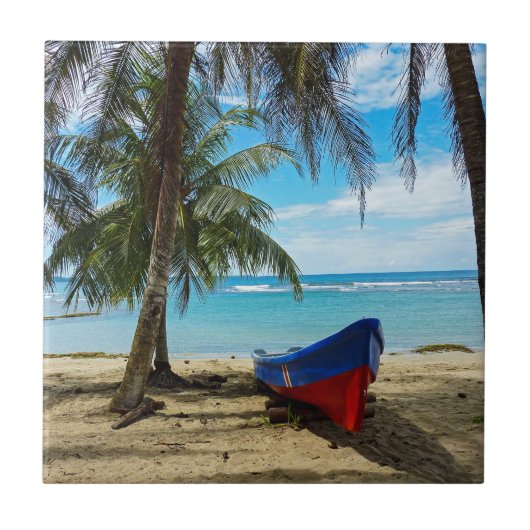 コスタリカのプーラ・ヴィダ - 中央アメリカ タイル (正面)