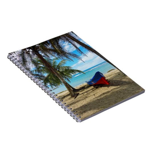 コスタリカのプーラ・ヴィダ - 中央アメリカ ノートブック (右側)