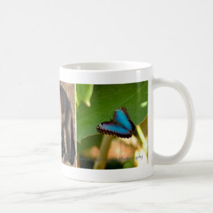コスタリカのマグ コーヒーマグカップ