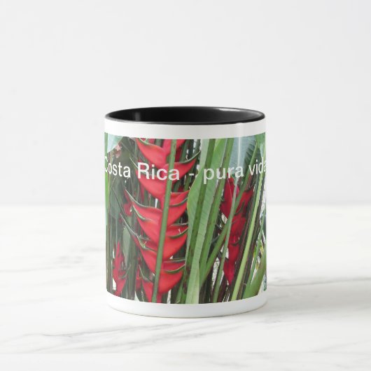 コスタリカのマグ マグカップ (中央)