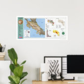 コスタリカの地図1991 ポスター (ホームオフィス)