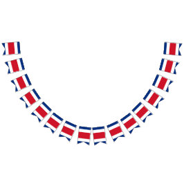 コスタリカの旗 バンティングフラッグ