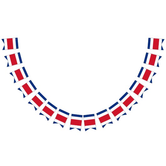 コスタリカの旗 バンティングフラッグ (全)