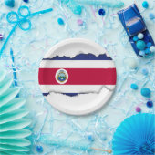 コスタリカの旗 ペーパープレート (パーティー)