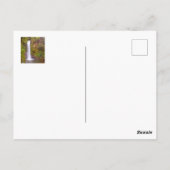 コスタリカの滝 ポストカード (裏面)