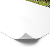 コスタリカの熱帯雨林竹ポスター ポスター (角)