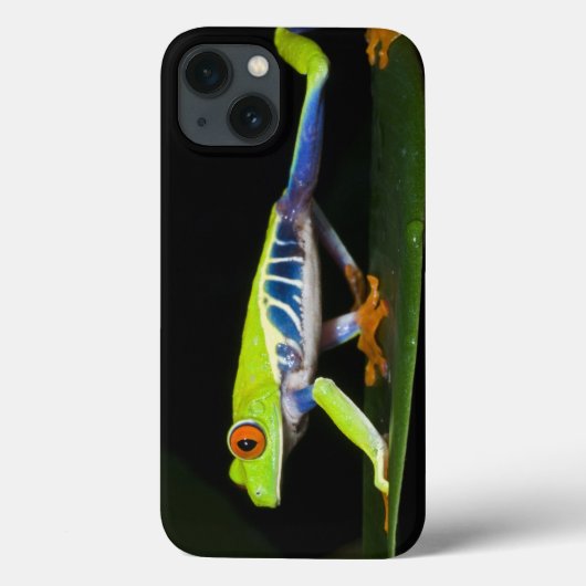 コスタリカの目が赤いアマガエル(Agalychnis Case-Mate iPhoneケース (裏面)
