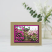 コスタリカの花01 ポストカード (スタンド正面)