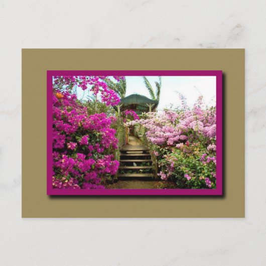 コスタリカの花01 ポストカード (正面)