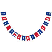 コスタリカの誕生日パーティーの装飾の国旗 バンティングフラッグ (全)